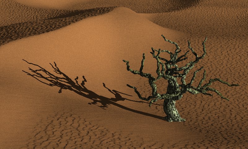  12- Desert and tree 